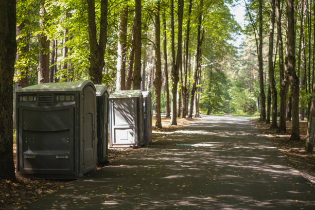 Portable Toilet Options We Offer in Maine, WI